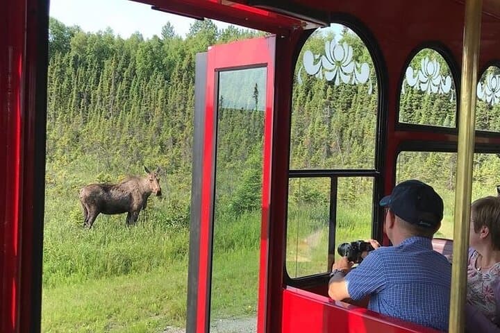 Anchorage Trolley Tour: Scenic City Highlights and Local Insights in 60 Minutes