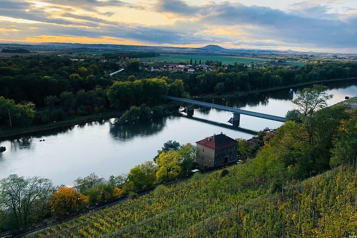 Bohemia Wine Tour from Prague: Private Day to Chateaux, Cellars & Vineyards photo 6