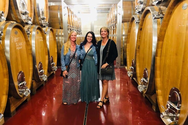 Bohemia Wine Tour from Prague: Private Day to Chateaux, Cellars & Vineyards photo 5