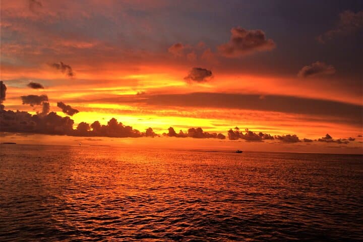 Key Largo Private Sunset Cruise: Mangroves, Dolphins & Ocean Views photo 6