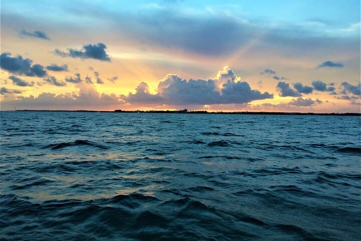 Key Largo Private Sunset Cruise: Mangroves, Dolphins & Ocean Views photo 5