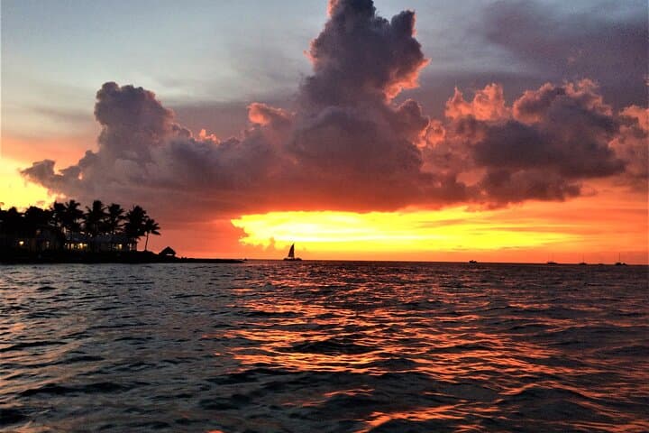 Key Largo Private Sunset Cruise: Mangroves, Dolphins & Ocean Views photo 4