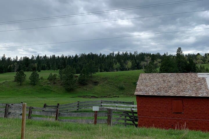 Private Mickelson Trail Bicycling Tour: 20-Mile Black Hills Ride photo 4