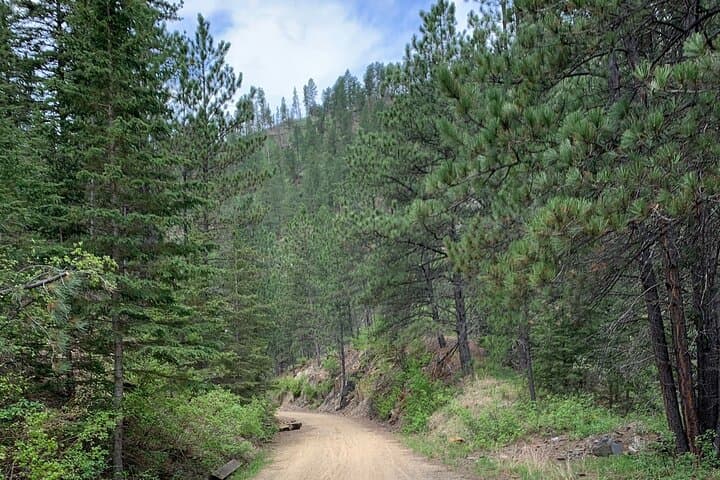 Private Mickelson Trail Bicycling Tour: 20-Mile Black Hills Ride photo 6