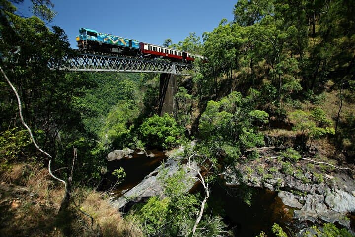 Kuranda Skyrail & Scenic Rail: Rainforest Cableway, Barron Falls and Artillery Museum Day Tour photo 6
