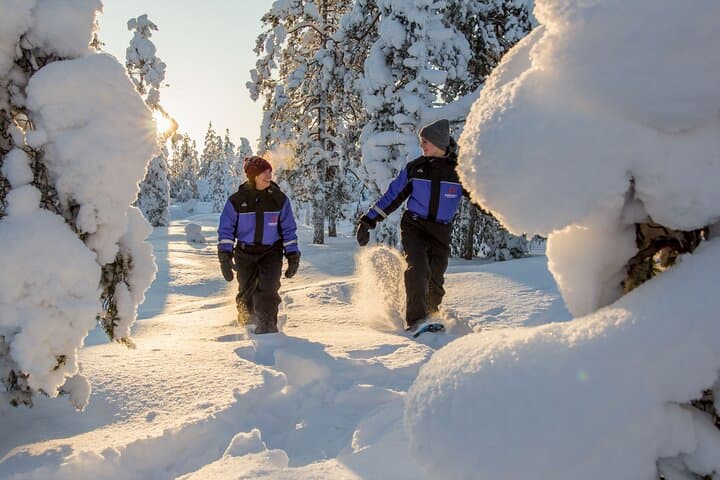 Snowshoe Fun Around Rovaniemi: Guided Winter Forest Walks photo 4