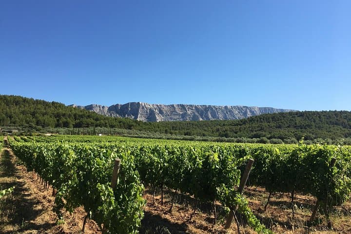 Aix-en-Provence Day Tour and Côtes de Provence Wine Tasting at Sainte-Victoire photo 1