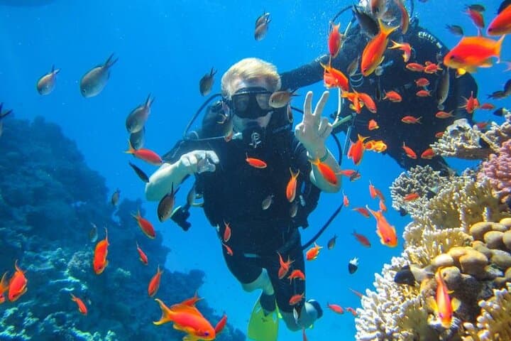 Ras Mohamed Snorkeling Day Trip from Sharm El Sheikh