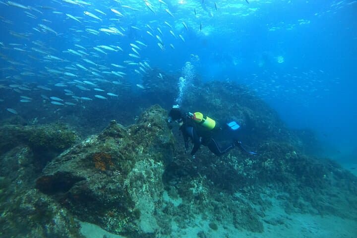 Discover Scuba Diving in Lanzarote: Intro Two-Dive Adventure photo 5