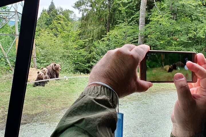 Bears and Dracula: Private Full-Day Wildlife and Poenari Castle Tour from Bucharest photo 4