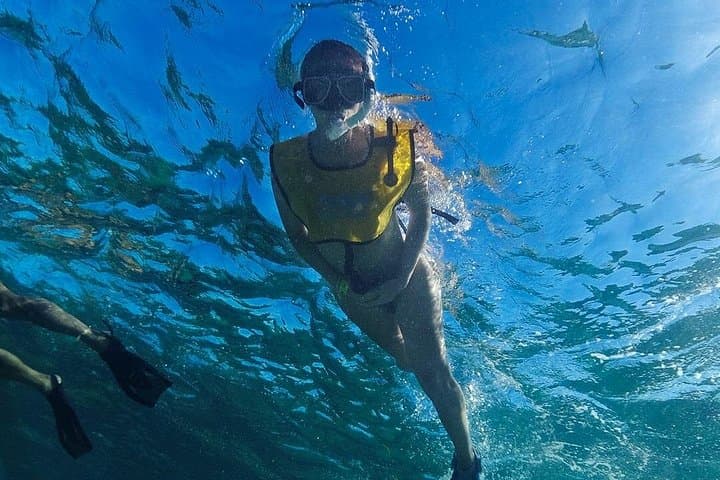 Snorkel the Cancun Reef: 3-Stop Tour to Turtles, Shipwreck & Underwater Museum photo 4