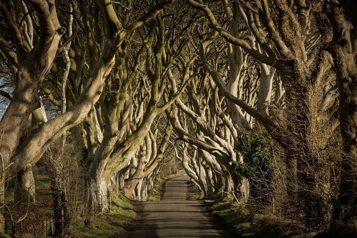 Giants Causeway & Belfast Private Day Tour from Dublin — Luxury Chauffeur Excursion photo 4