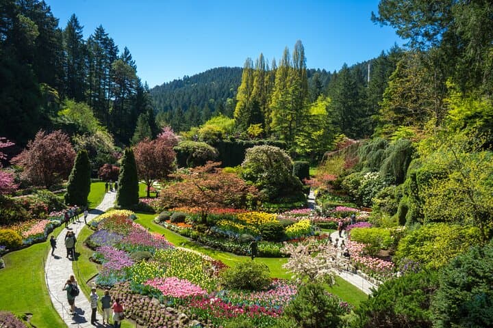 Vancouver to Victoria & Butchart Gardens Day Tour — Ferry, Harbour Sights, and 55-Acre Gardens
