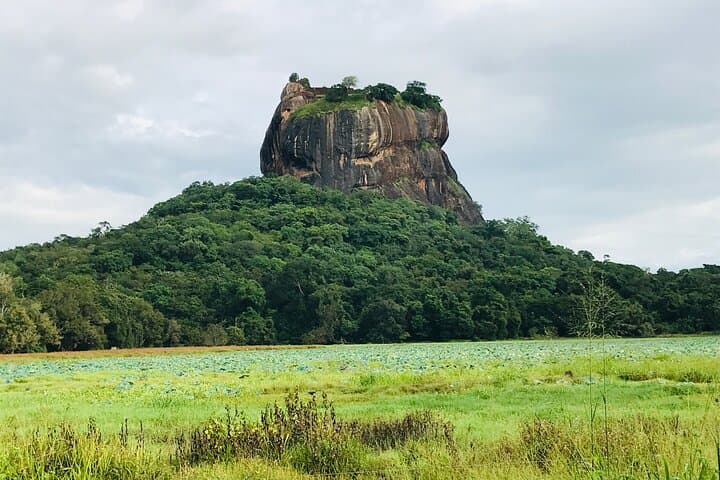 Private Day Trip to Sigiriya Rock Fortress & Dambulla Cave Temple — From Sigiriya, Dambulla or Habarana photo 2