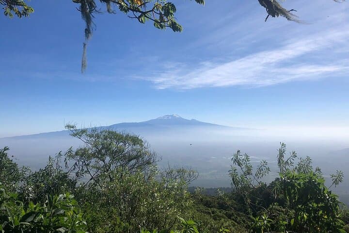 4-Day Mount Meru Trek: Summit Sunrise, Wildlife & Crater Ridges near Arusha photo 4