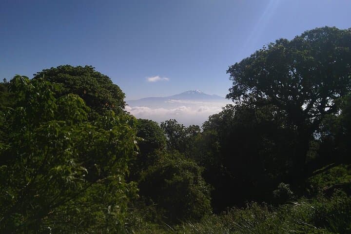 4-Day Mount Meru Trek: Summit Sunrise, Wildlife & Crater Ridges near Arusha photo 6