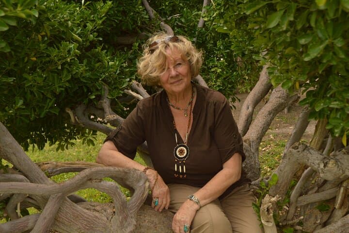 Sedona Soul Tour with Shamanic Guide — Medicine Wheel Healing in Village of Oak Creek photo 2