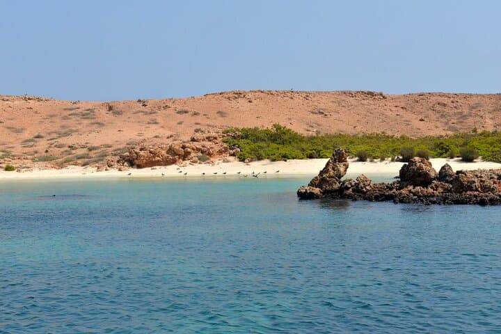 Daymaniyat Islands Snorkel: Swim with Turtles, Rays & Whale Sharks off Muscat photo 1