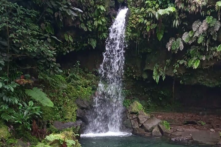Pepper's Choice Dominica: Waterfalls, Sulphur Spa & Black Sand Beach in One Day photo 2