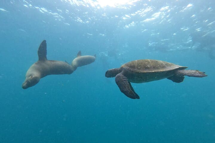 San Cristobal Day Tour: Private Land & Snorkel Excursion to Kicker Rock photo 6