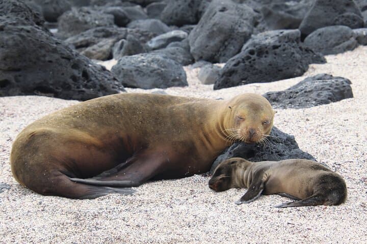 San Cristobal Day Tour: Private Land & Snorkel Excursion to Kicker Rock photo 2