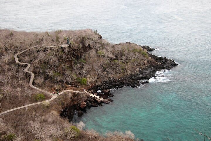 San Cristobal Day Tour: Private Land & Snorkel Excursion to Kicker Rock photo 3