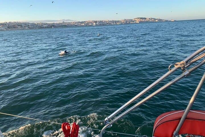 Private 4-Hour Luxury Sailboat Tour and Swim on the Tagus — Lisbon photo 4