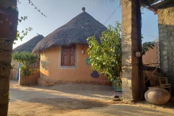 Bishnoi Village Safari: Half-Day Cultural and Wildlife Tour from Jodhpur photo 4