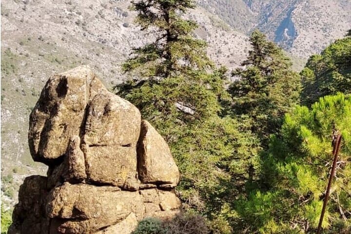 Escaleretas Spanish Fir Hike — Sierra de las Nieves Day Trail photo 2