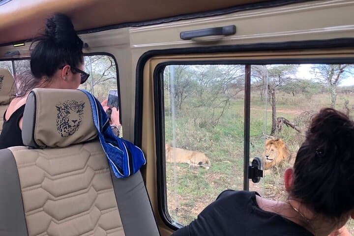 5-Day Serengeti, Tarangire & Ngorongoro Big Five Safari: Lodge and Camping Adventure photo 3