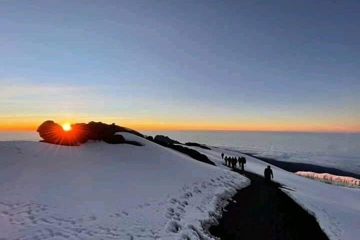 Lemosho Route 8-Day Kilimanjaro Climb — Private Guided Summit Trek photo 3