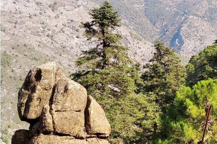 Hiking Escaleretas: Spanish Fir Forest Walk in Sierra de las Nieves photo 2