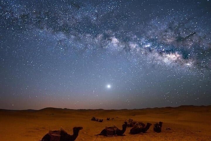 Sharm El Sheikh Desert Star-Gazing with Bedouin Dinner & Camel Ride photo 2