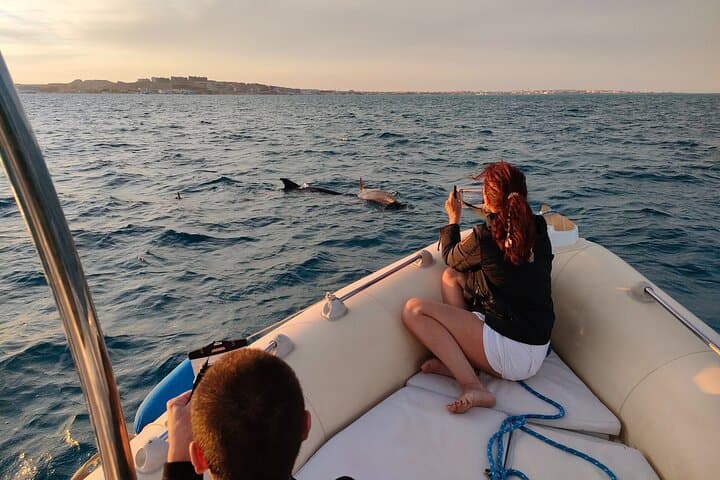 Private Dolphin Watching and Snorkeling Tour in Hurghada — Red Sea Encounters
