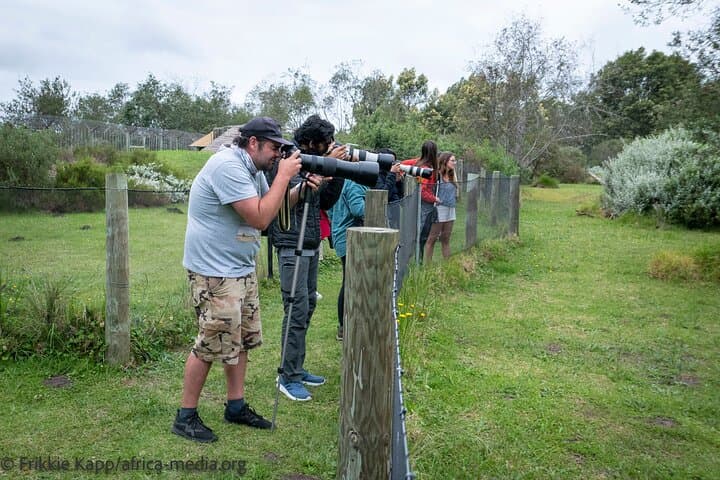 Wild Cat Experience at Tenikwa — Plettenberg Bay Wildlife Tour photo 3