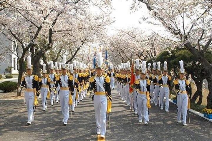 Chasing Jinhae’s Cherry Blossoms: Full-Day Private Tour from Busan photo 2