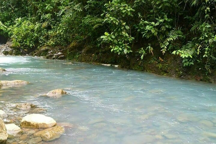 Day trip to Río Celeste: waterfall hike and volcanic hot springs from San José photo 3
