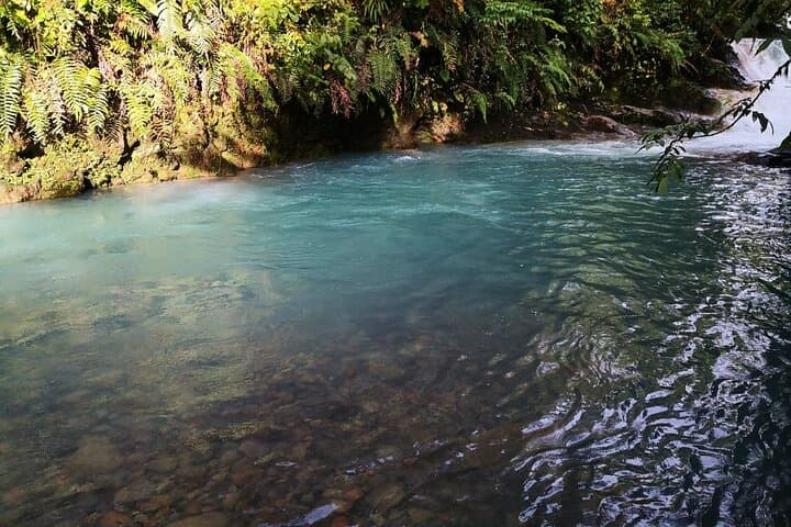 Day trip to Río Celeste: waterfall hike and volcanic hot springs from San José photo 2