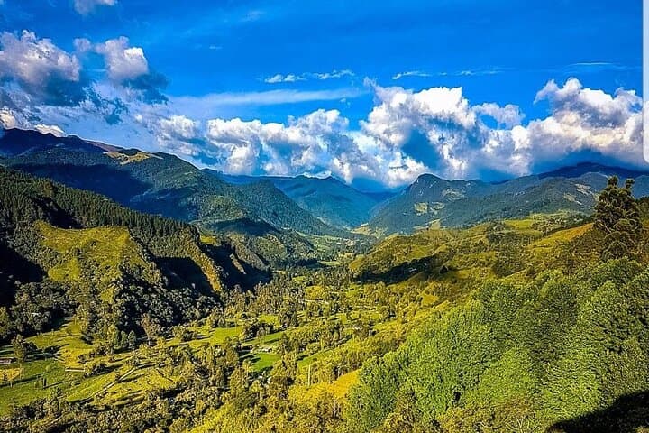 Cocora Valley, Salento & Filandia: Walking Colombia’s Coffee Highlands