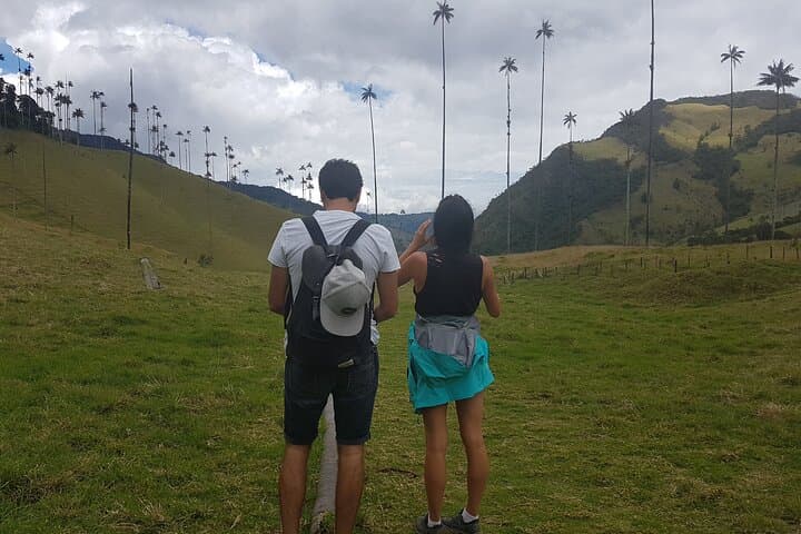 Cocora Valley, Salento & Filandia: Walking Colombia’s Coffee Highlands photo 4