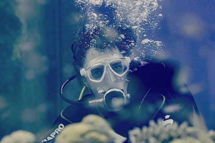 PADI Discover Scuba Diving in Eilat — One-Day Red Sea Intro to 12m