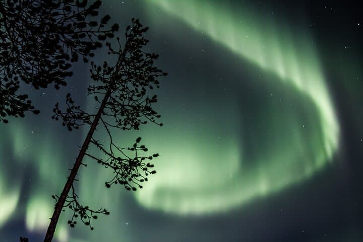 Aurora Borealis Picnic: Northern Lights Viewing with Lappish Picnic from Rovaniemi photo 6