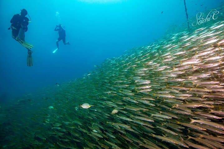 Discover Scuba Diving: 3 Dives at Racha Islands, Phuket