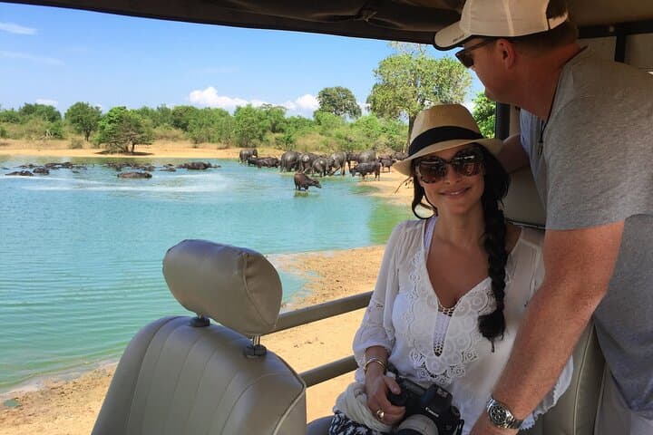 2-Day Yala & Udawalawe Safari from Bentota — Leopards, Elephants & ETH Visit photo 5