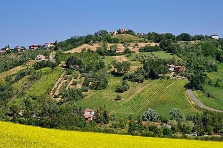 E-bike Tour in Bertinoro: Ride the Romagna Hills and Vineyards photo 3