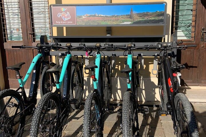 E-bike Tour in Bertinoro: Ride the Romagna Hills and Vineyards photo 6