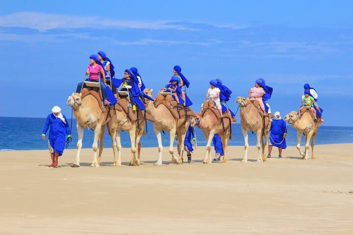 Cabo San Lucas: Boat to El Arco + Pacific Beach Camel Ride and Lunch photo 4