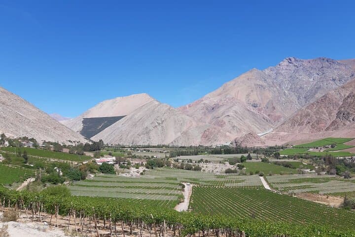 Elqui Valley Grand Tour: Sacred Mountains, Pisco, Solar Ovens & Gabriela Mistral photo 2