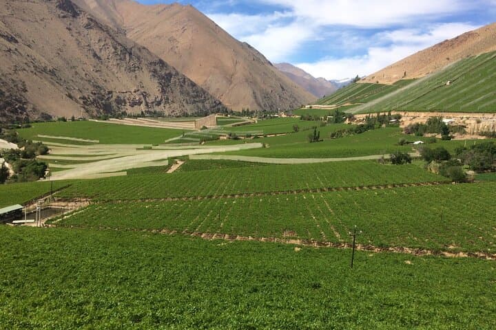 Elqui Valley Grand Tour: Sacred Mountains, Pisco, Solar Ovens & Gabriela Mistral