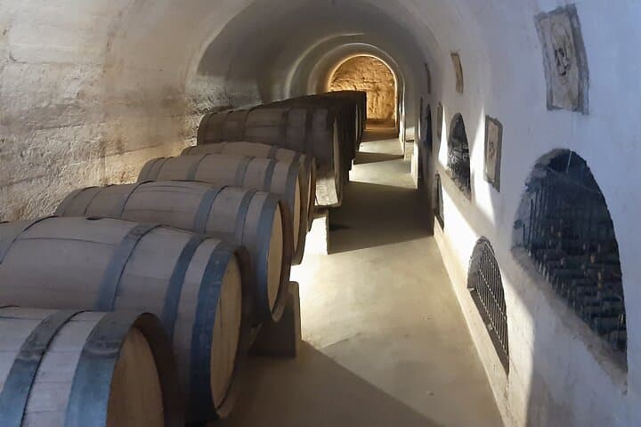 Elqui Valley Grand Tour: Sacred Mountains, Pisco, Solar Ovens & Gabriela Mistral photo 3
